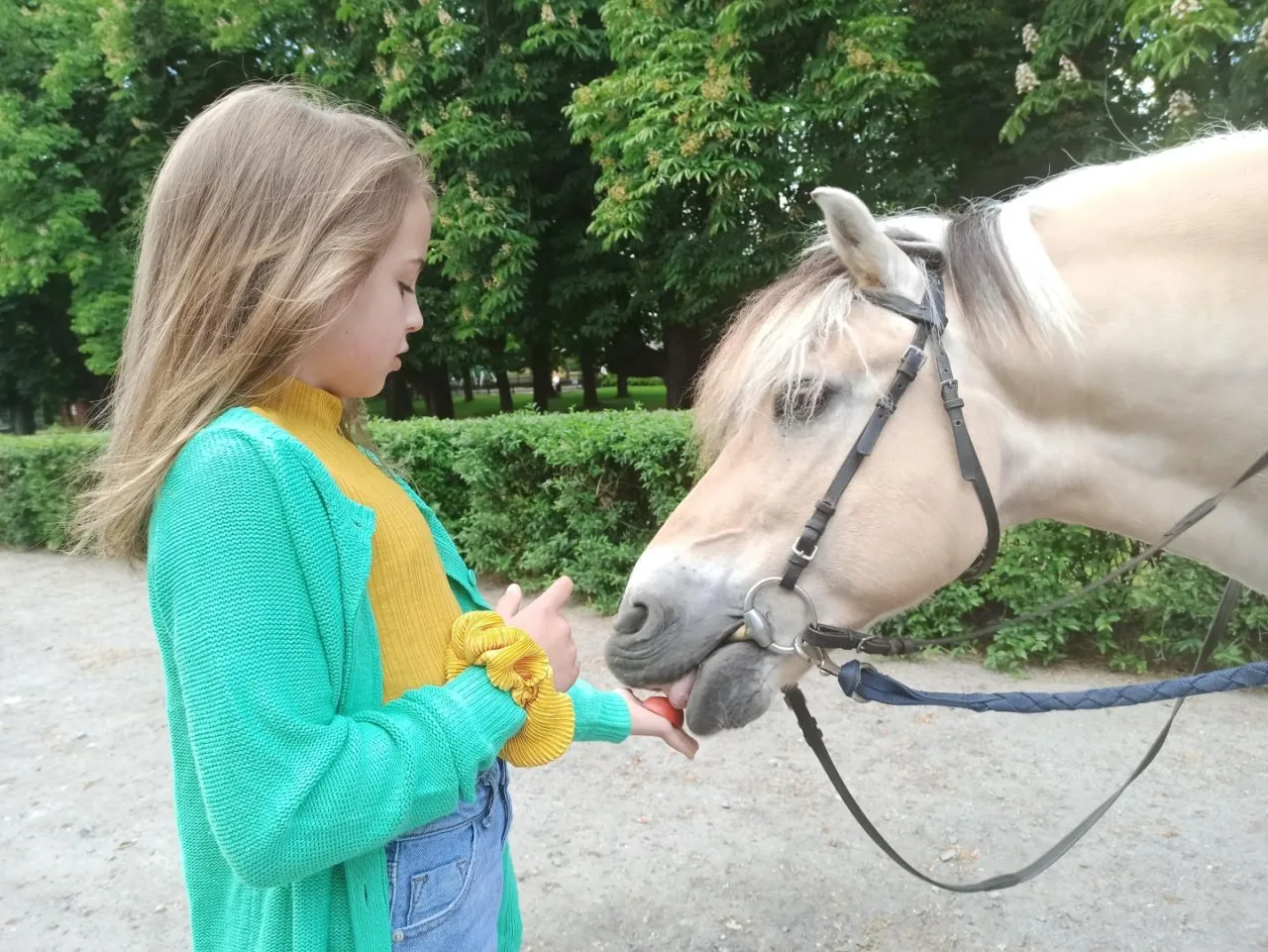 Nauka jazdy konnej dzieci Moszna