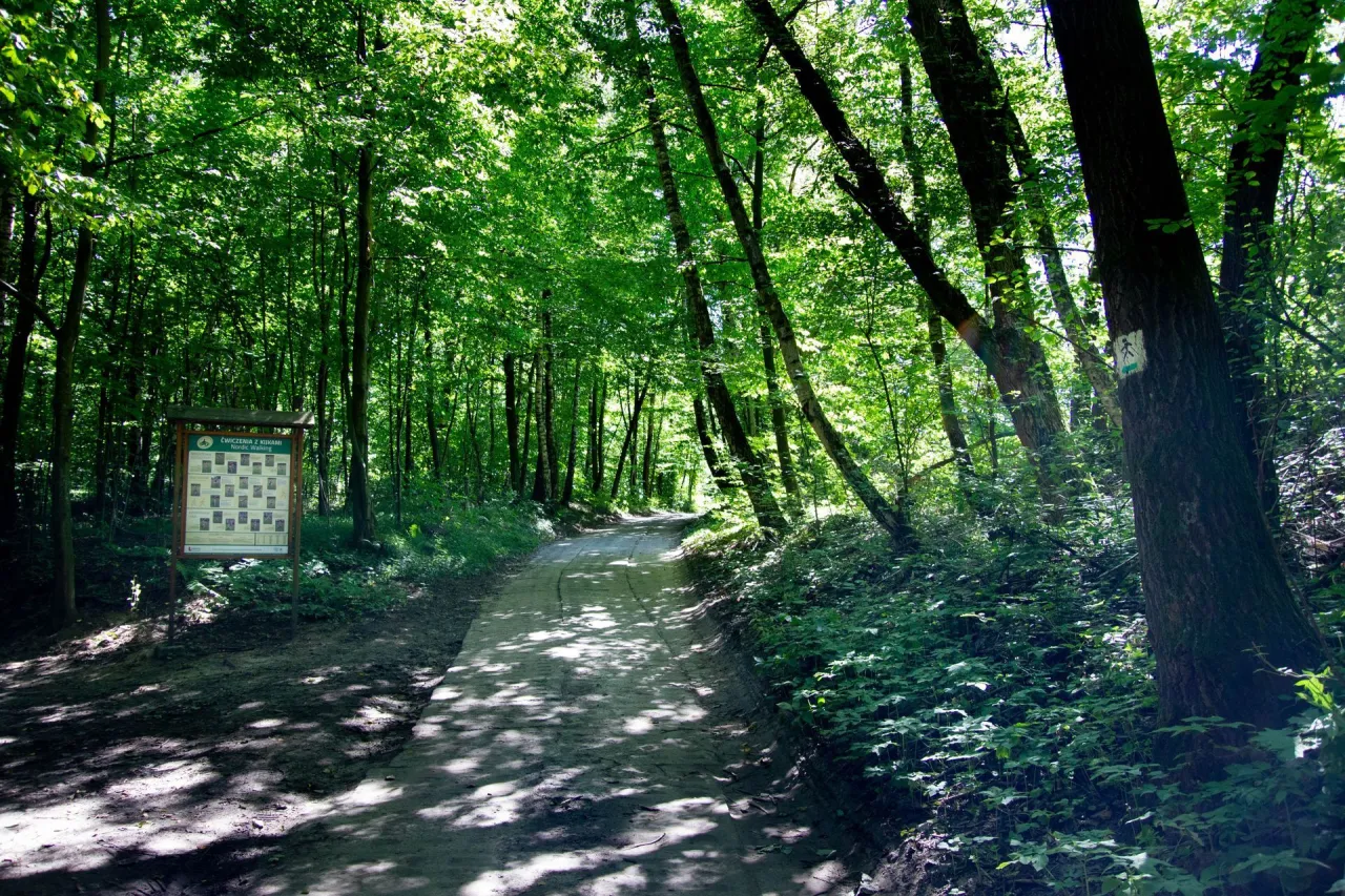 Wąwozy lessowe Nałęczów rower