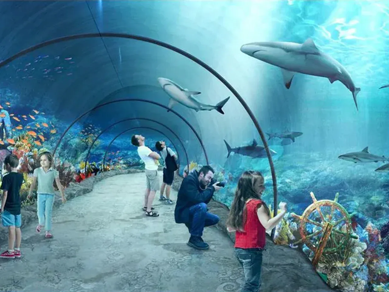 Orientarium ZOO Ł&oacute;dź podwodny tunel rekiny