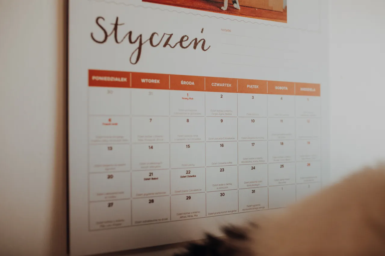 kalendarz z zaznaczonymi datami i sylwetką kota