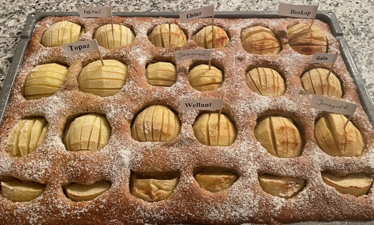 Auswahl von Back&auml;pfeln