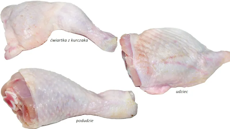 różne kawałki kurczaka udka podudzia ćwiartki