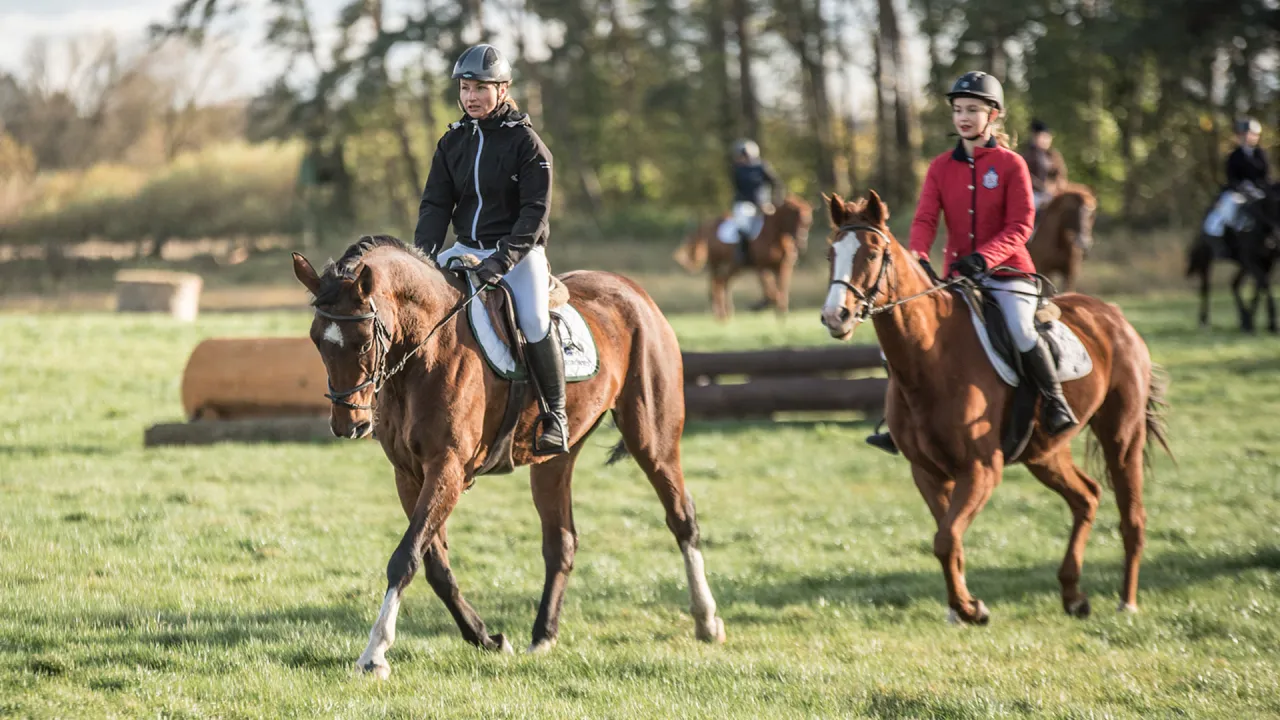 Zdjęcie Klub Sportowy Equiright: najlepsze lekcje jazdy konnej w Warszawie