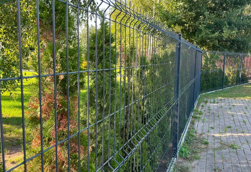 Zdjęcie Co posadzić przy płocie z siatki, aby stworzyć piękny ogród?