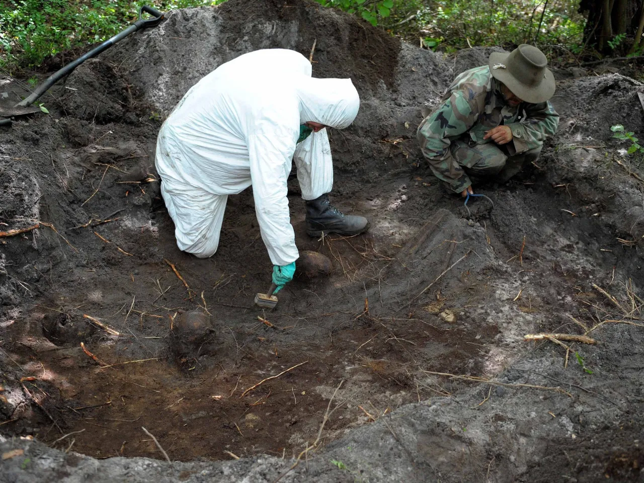 Koszty ekshumacji elementy składowe