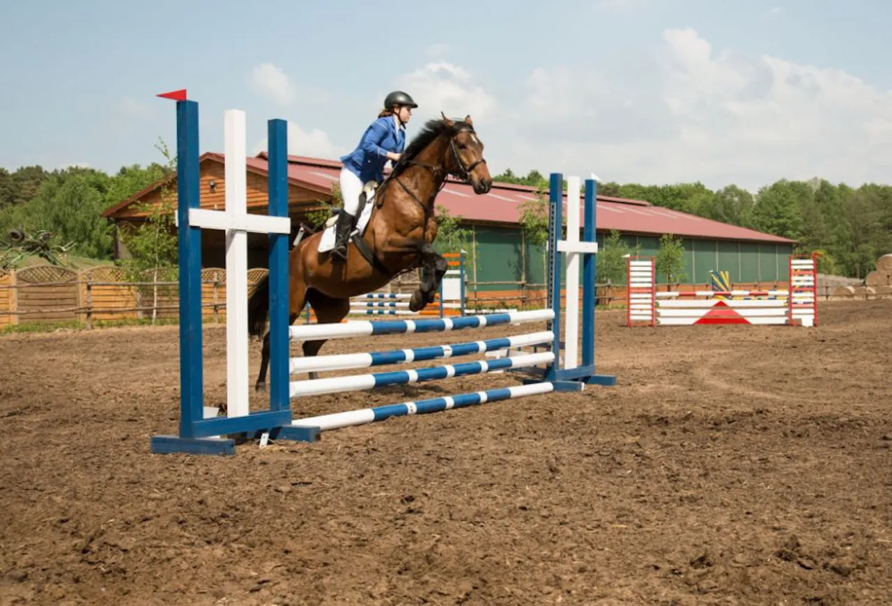 Stadnina koni Ślężański Młyn jazda