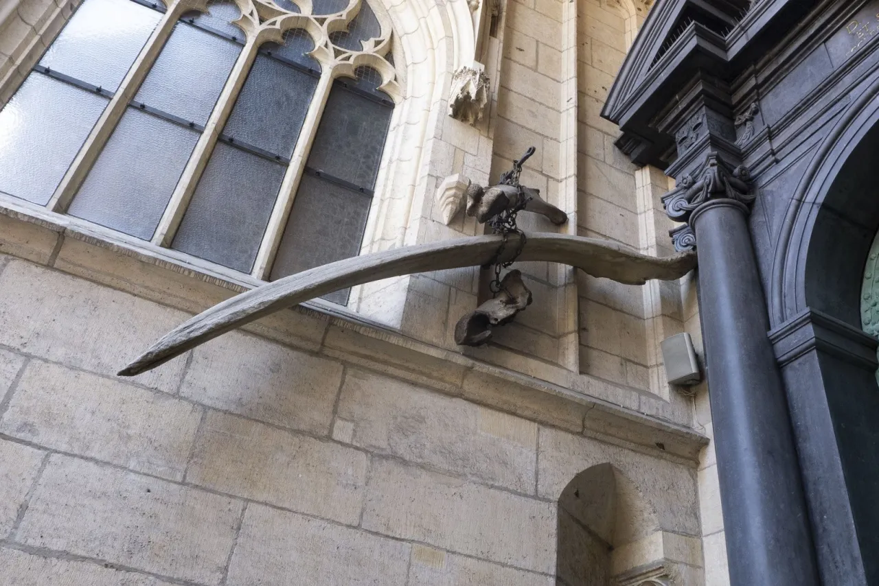 Wawel zamek katedra smok