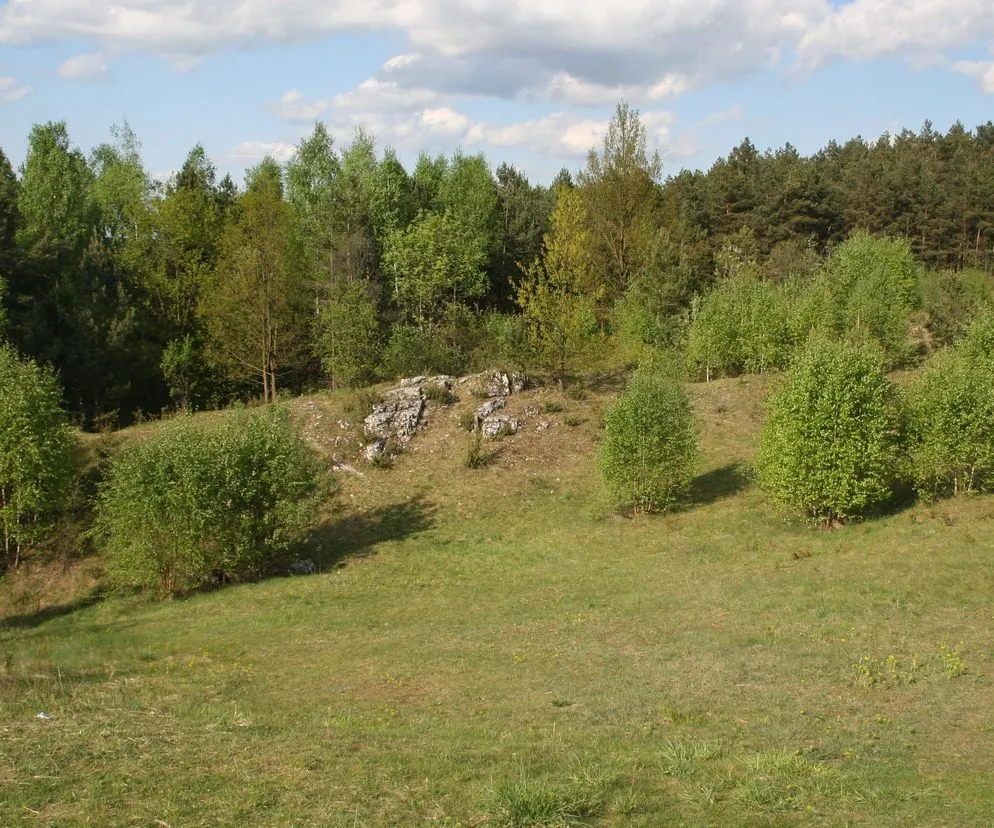 Rezerwat Węże G&oacute;ra Zelce krajobraz