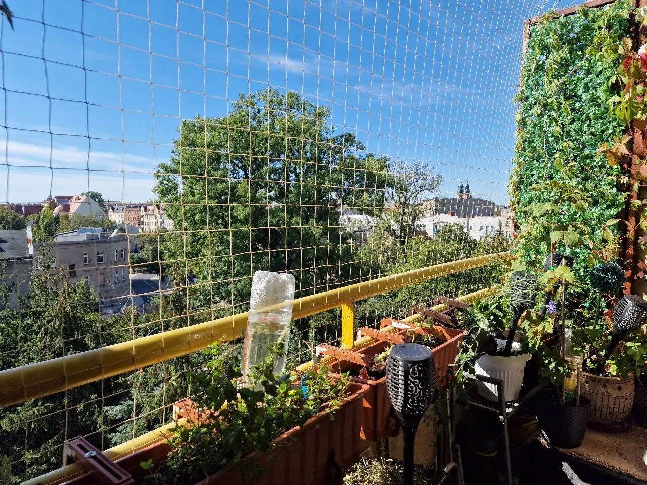 Siatki ochronne na balkon dla ptaków
