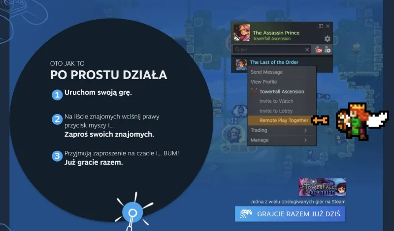 Steam Remote Play Together ekran gry