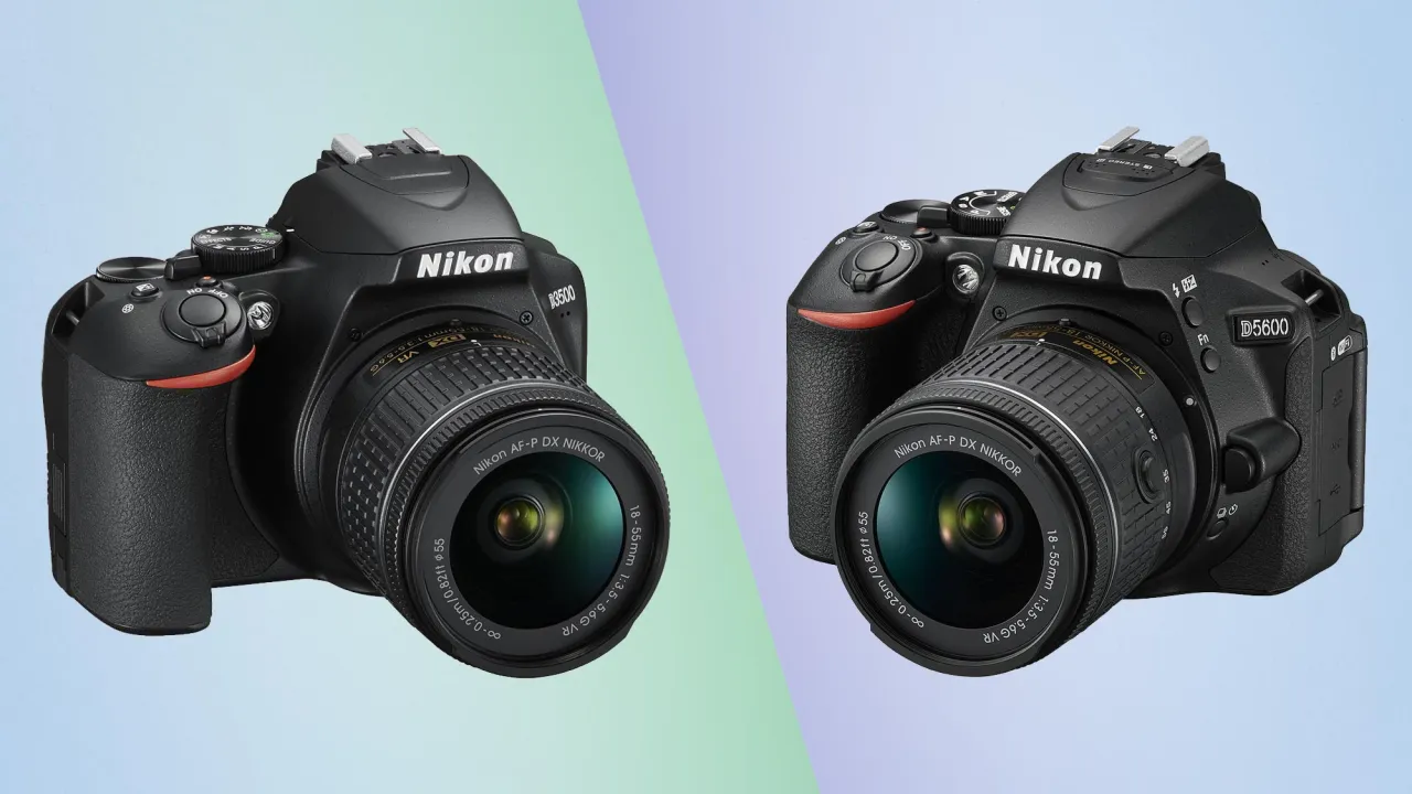 nikon d3500 vs d5600 vs d7500