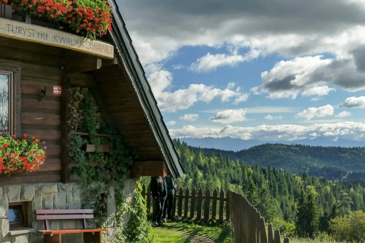 Drewniana bac&oacute;wka na Maciejowej z kwitnącymi pelargoniami. W tle gęsty las i pasmo g&oacute;rskie pod zachmurzonym niebem.