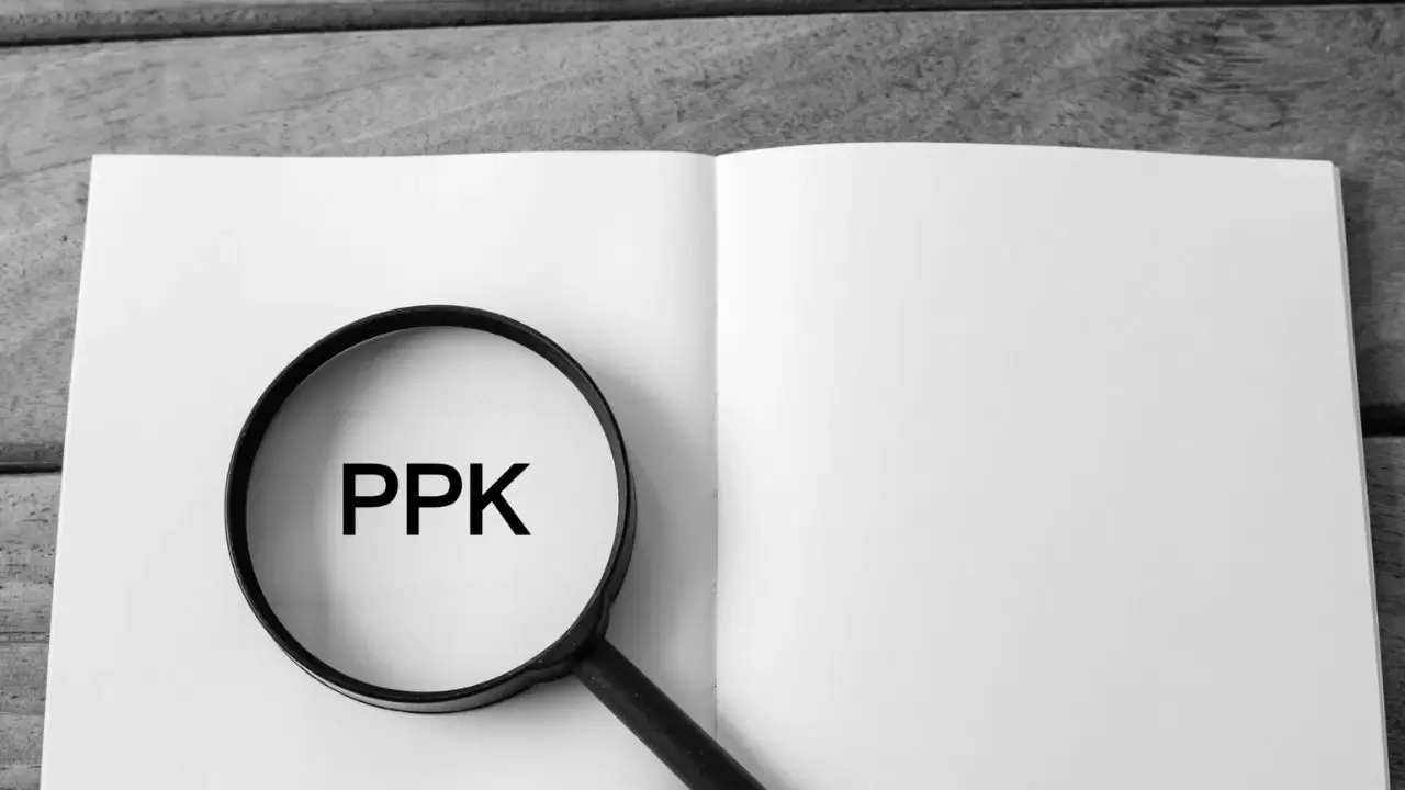 Kary finansowe za niedopełnienie obowiązków PPK