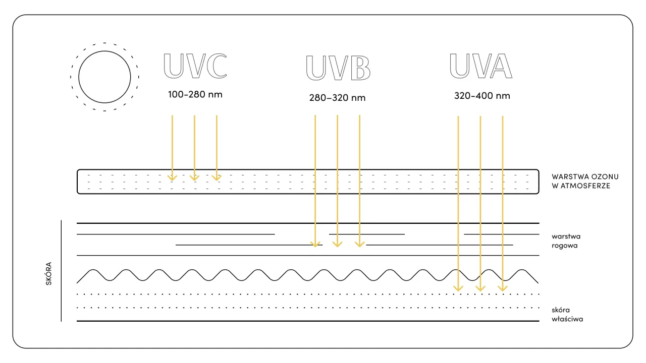 Schemat przedstawia r&oacute;żne rodzaje promieniowania słonecznego (UVC, UVB, UVA) i ich przenikanie przez warstwę ozonu do sk&oacute;ry.