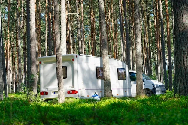 przyczepa kempingowa w lesie