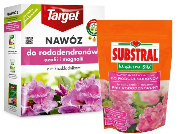 nawożenie rododendronów po cięciu