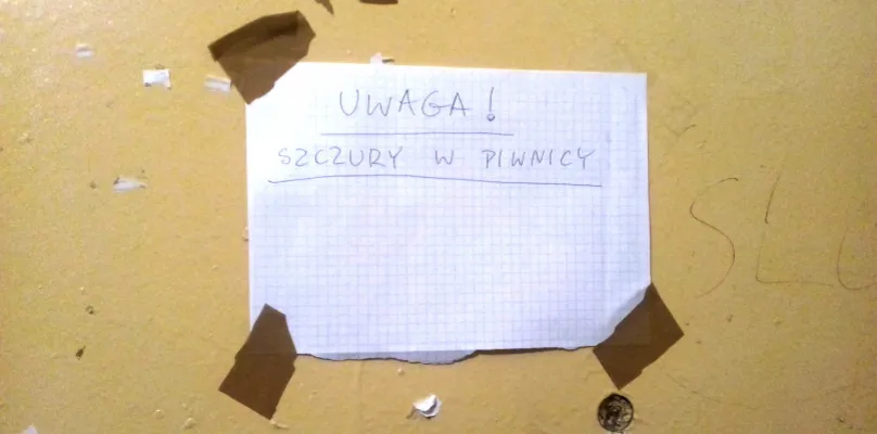 zgłoszenie problemu szczury blok pismo