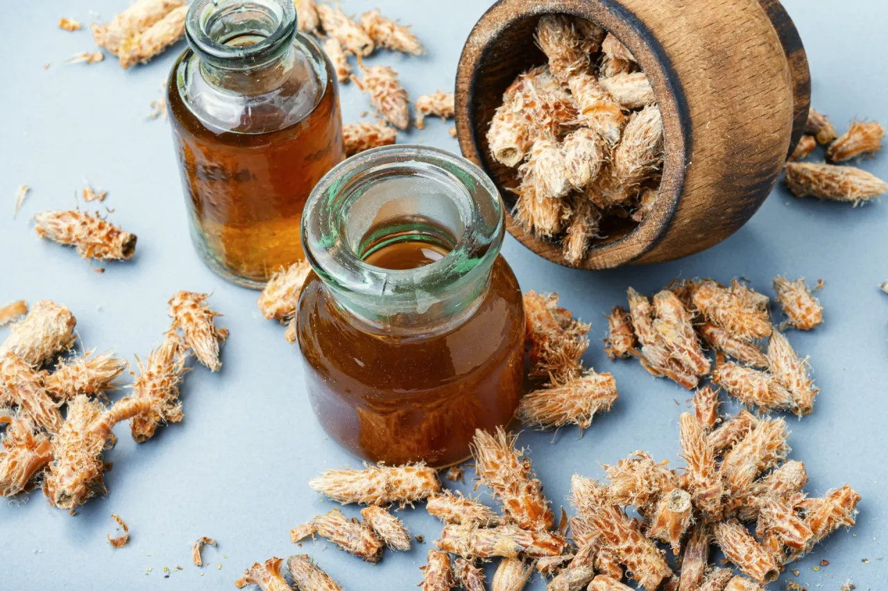 r&oacute;żne dolegliwości leczenie nalewka z szyszek sosny