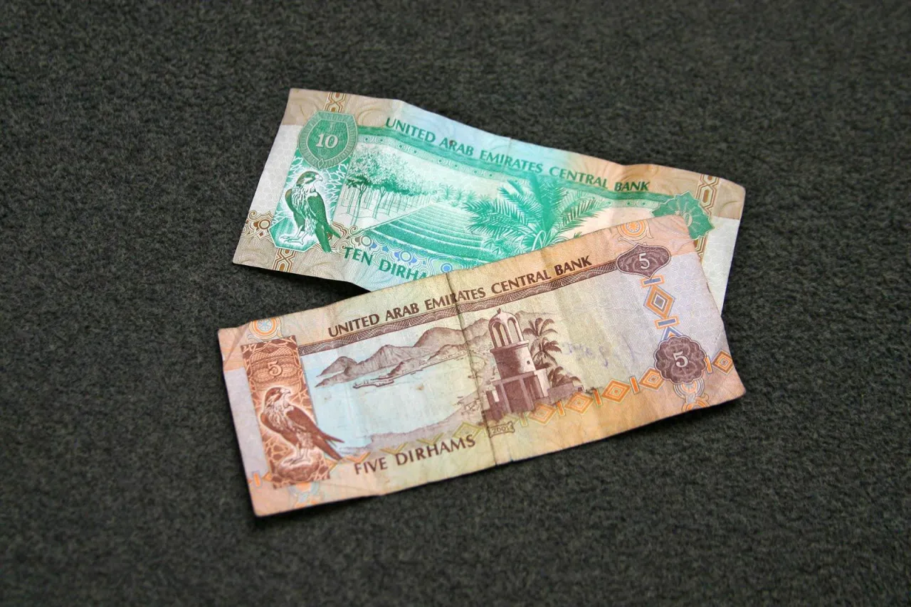Dwa banknoty: 5 i 10 dirhamów, czyli jaka waluta jest w Dubaju. Widoczne są orły i palmy.