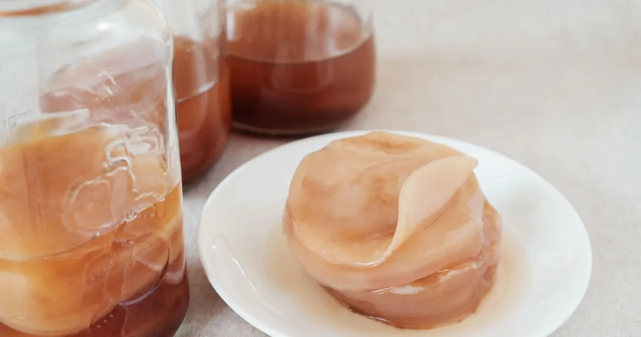 zdrowy SCOBY kombucha
