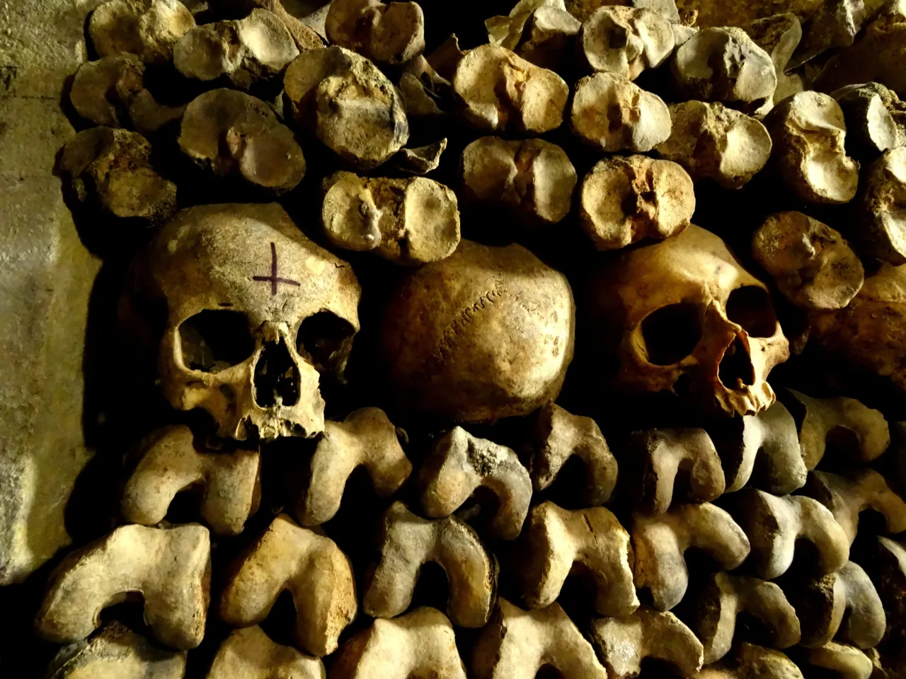 Ludzkie czaszki i kości ułożone w ściany w paryskich katakumbach.