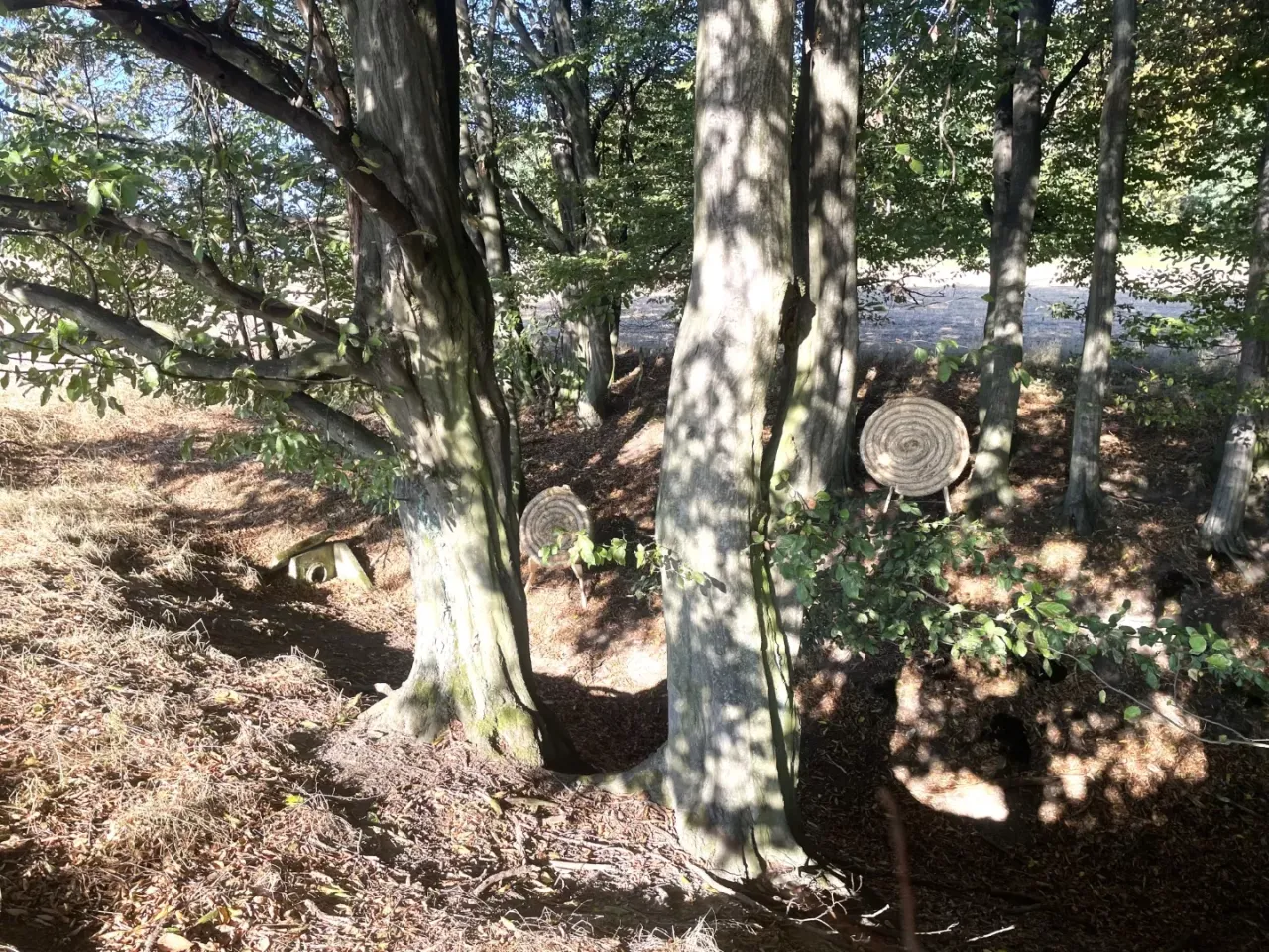 Strażnik leśny rozmawiający z łucznikiem w lesie