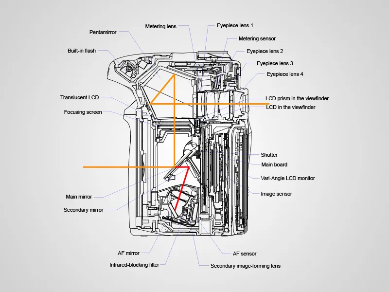budowa lustrzanki cyfrowej matryca obiektyw