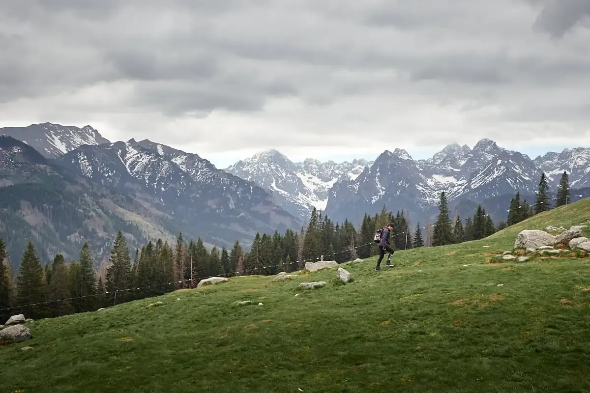 Rusinowa Polana widok na Tatry