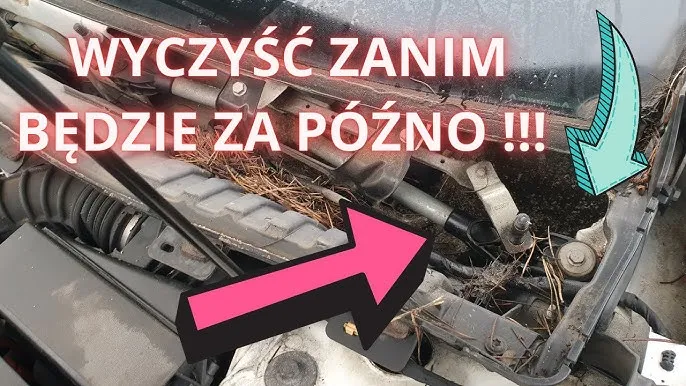 czyszczenie podszybia volvo odpływy wody