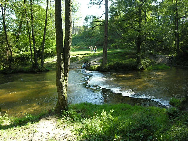 Flora Rezerwatu Szum