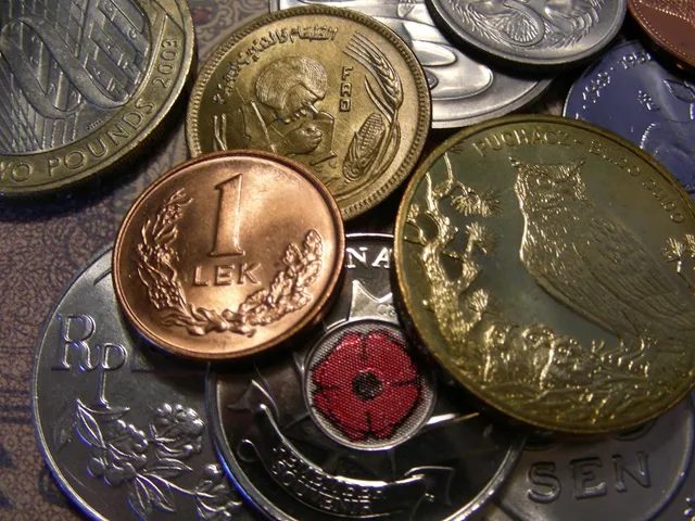 cennik tłumaczenia książki monety i książki