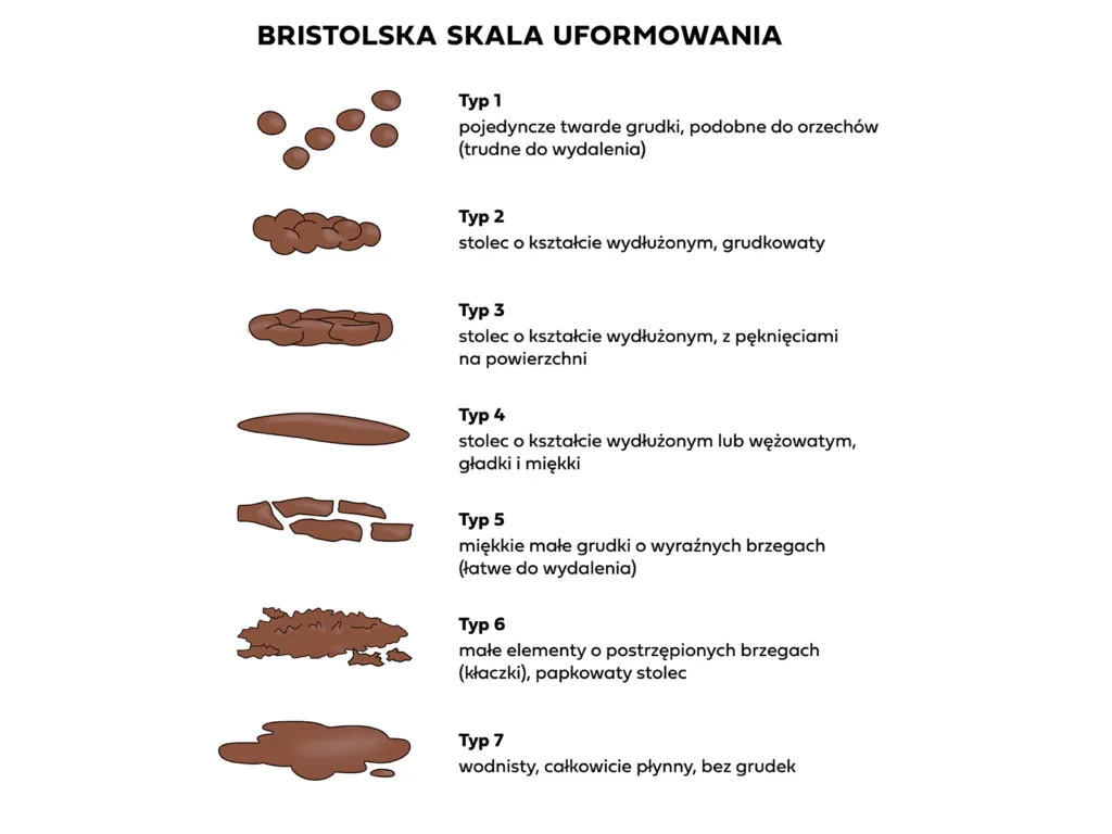 zdrowa kupa psa infografika