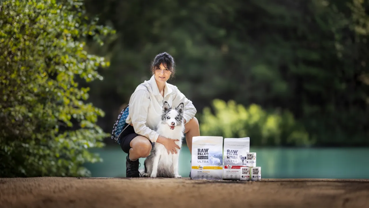 karma sucha i mokra dla psa por&oacute;wnanie