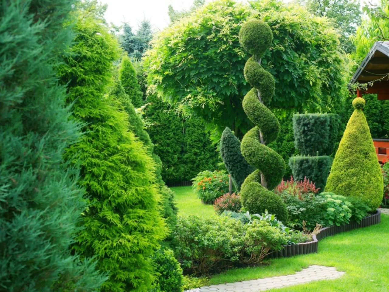 Pielęgnacja tui w ogrodzie