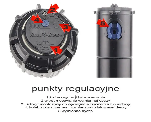 zraszacz Rain Bird typowe usterki