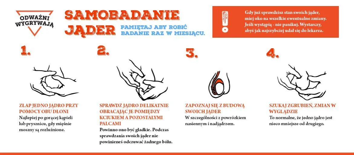 mężczyzna samobadanie jąder instrukcja