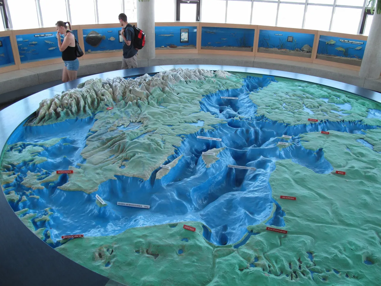 Animacja lub grafika przedstawiająca cofanie się lądolodu skandynawskiego i formowanie dna Bałtyku