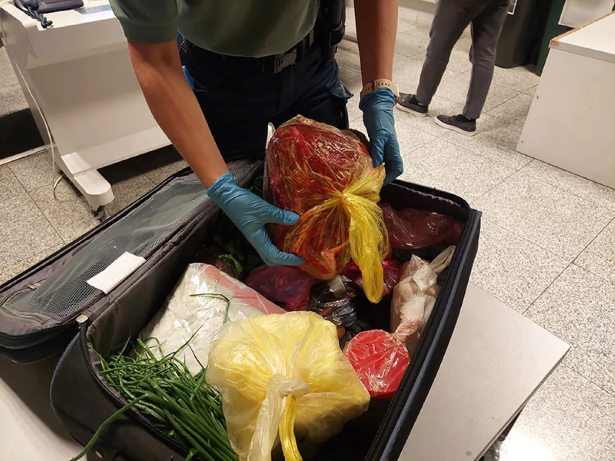 Szwajcarski celnik kontrola bagażu żywność