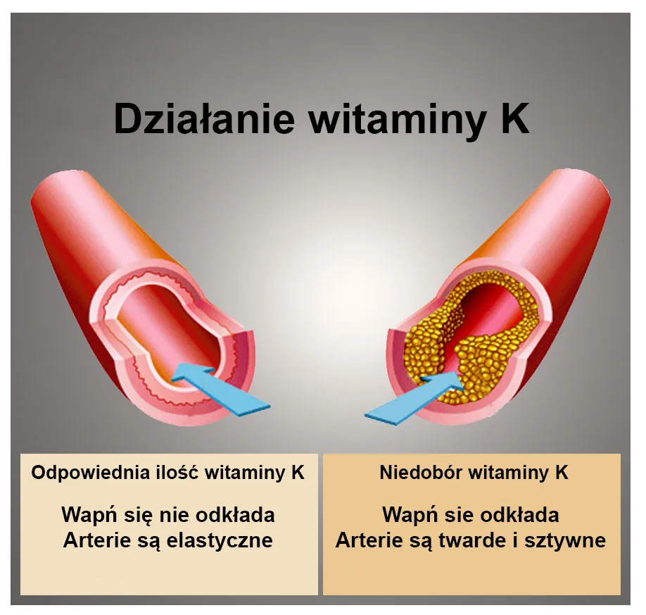 witamina K2 rola w organizmie