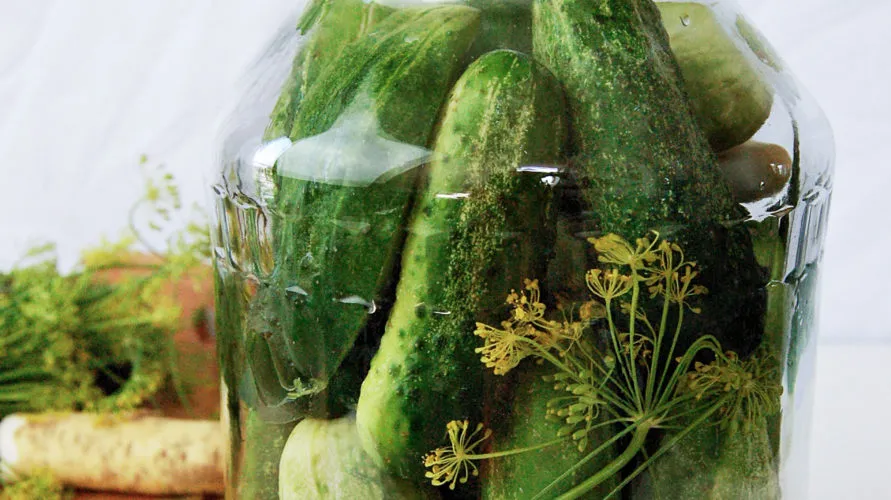 różnica ogórki kiszone i małosolne