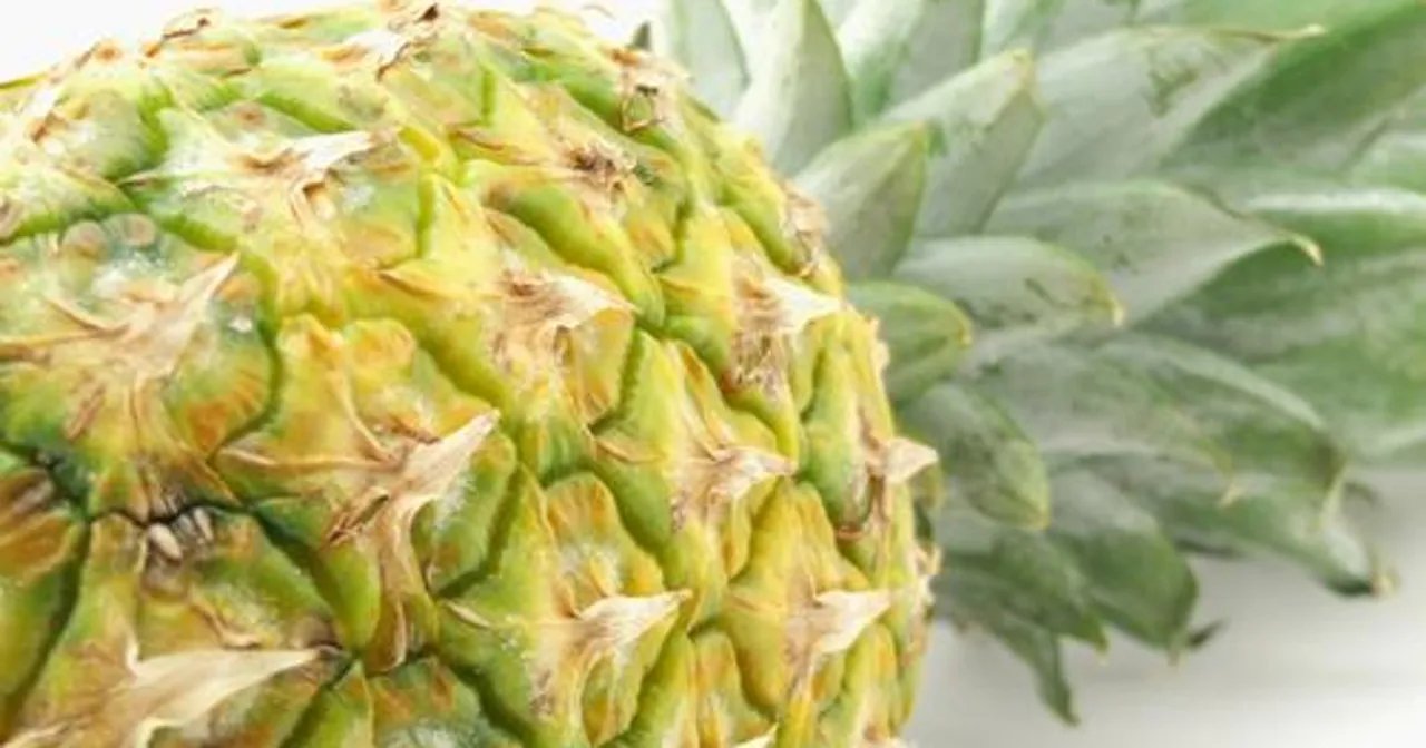 Ananas świeży i ananas z puszki