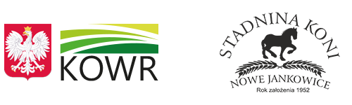 Nauka jazdy konnej Nowe Jankowice