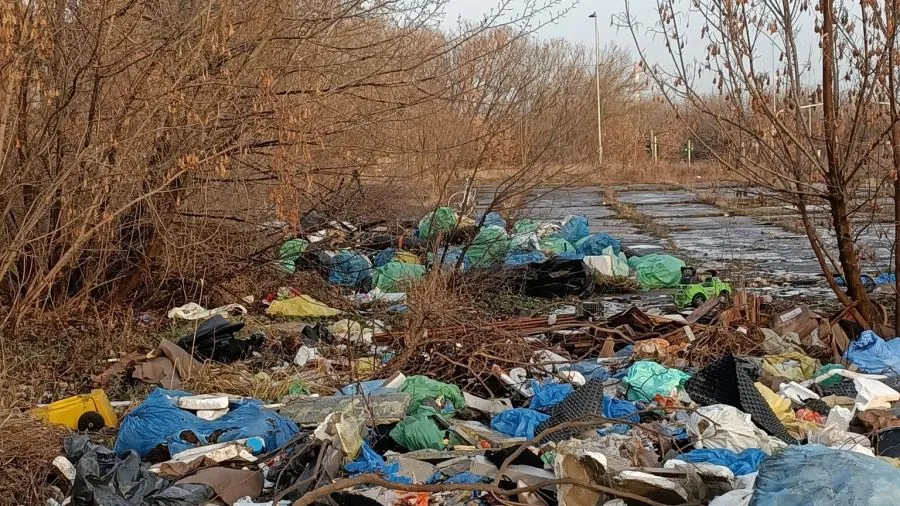 Smutny właściciel działki sprzątający śmieci, osoba sprzątająca dzikie wysypisko