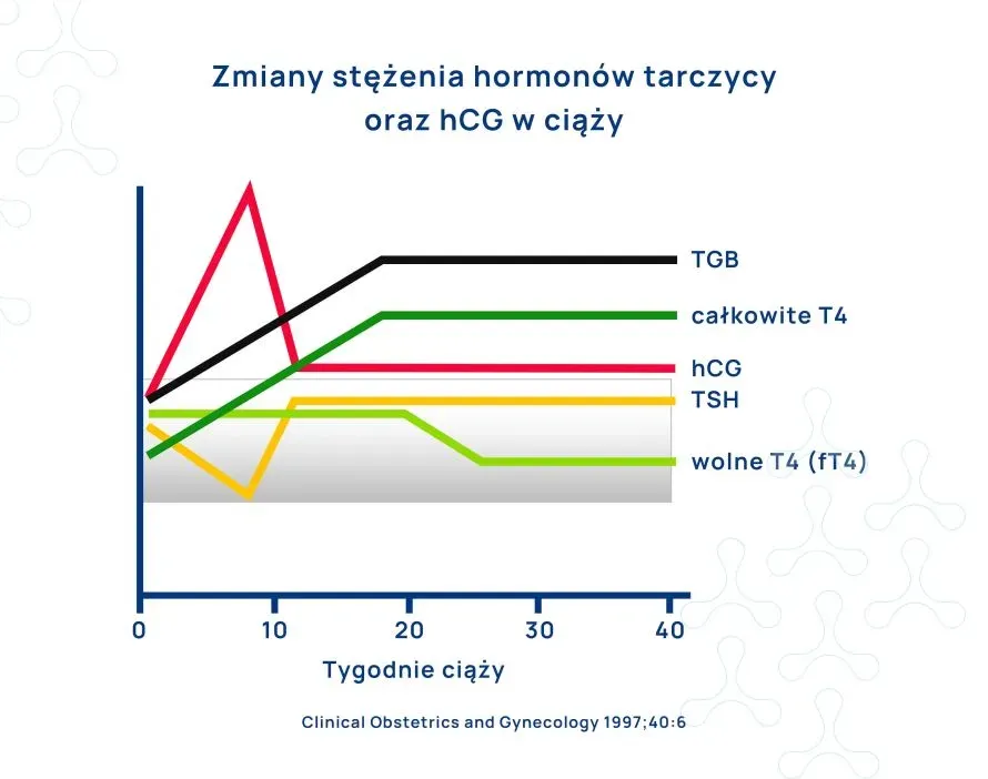 Tabela norm TSH dla dorosłych i w ciąży