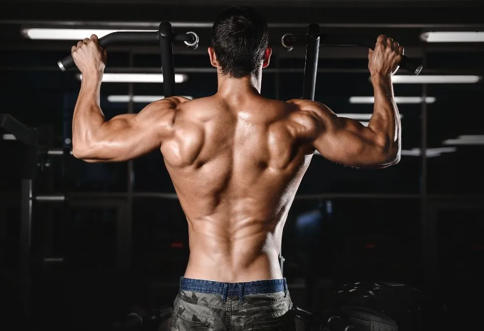 męska sylwetka litera V proporcje