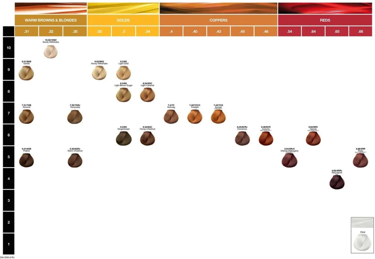 r&oacute;żnica toner farba włosy schemat