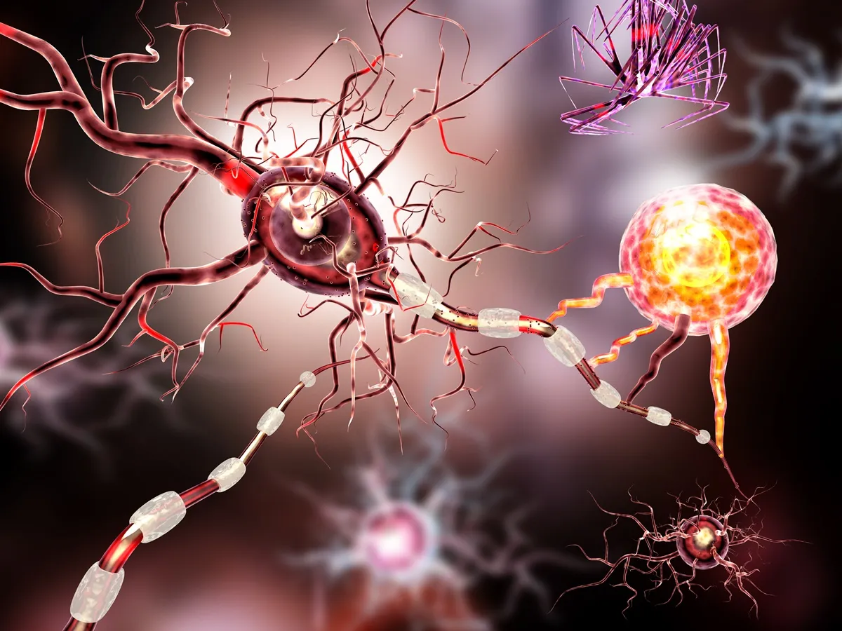 leki na padaczkę mity i fakty