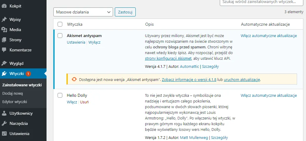 panel wtyczek WordPress