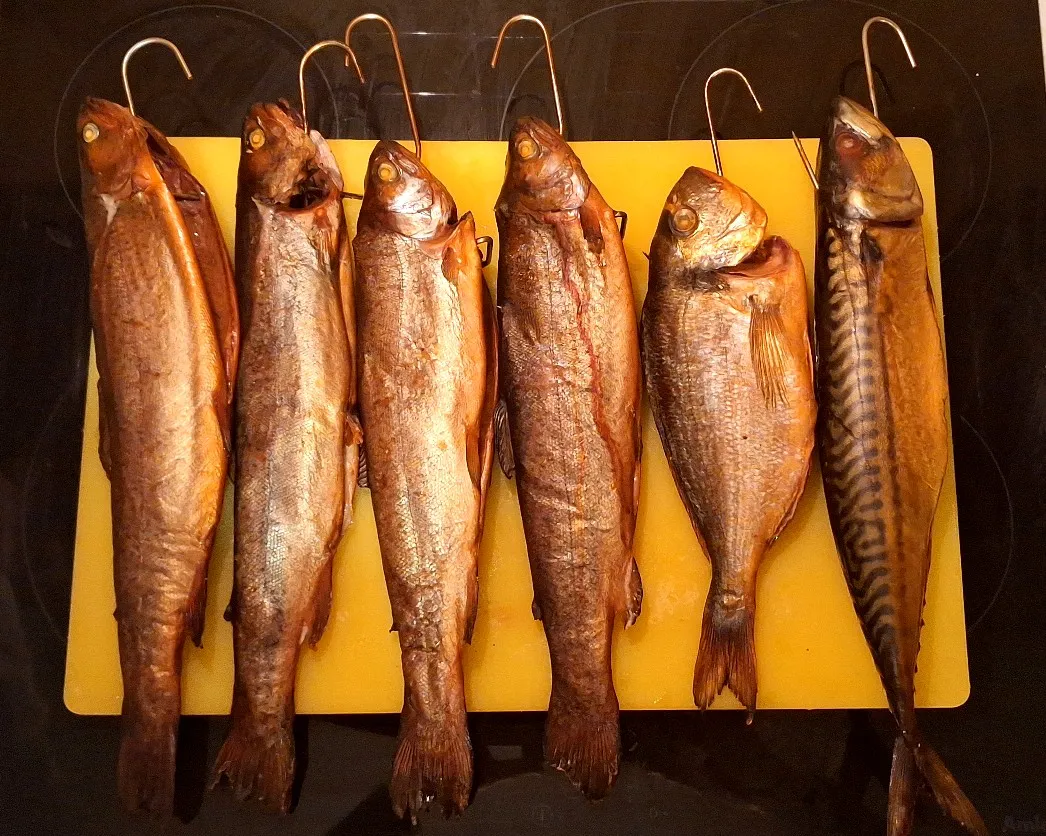 r&oacute;żne gatunki ryb do wędzenia