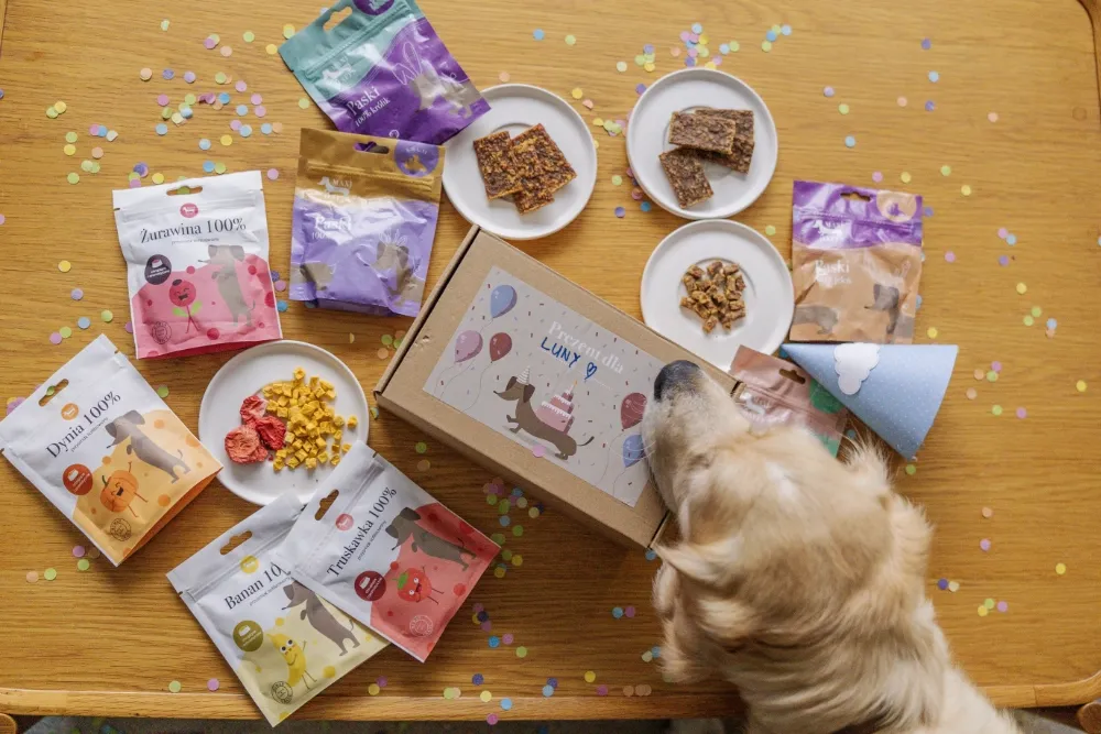 warzywa toksyczne dla psa